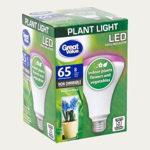 Custom Light Bulb Boxes