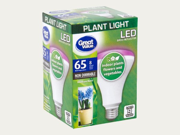 Custom Light Bulb Boxes